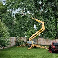 How Our Tree Care Process Works  in Bloomingburg, OH